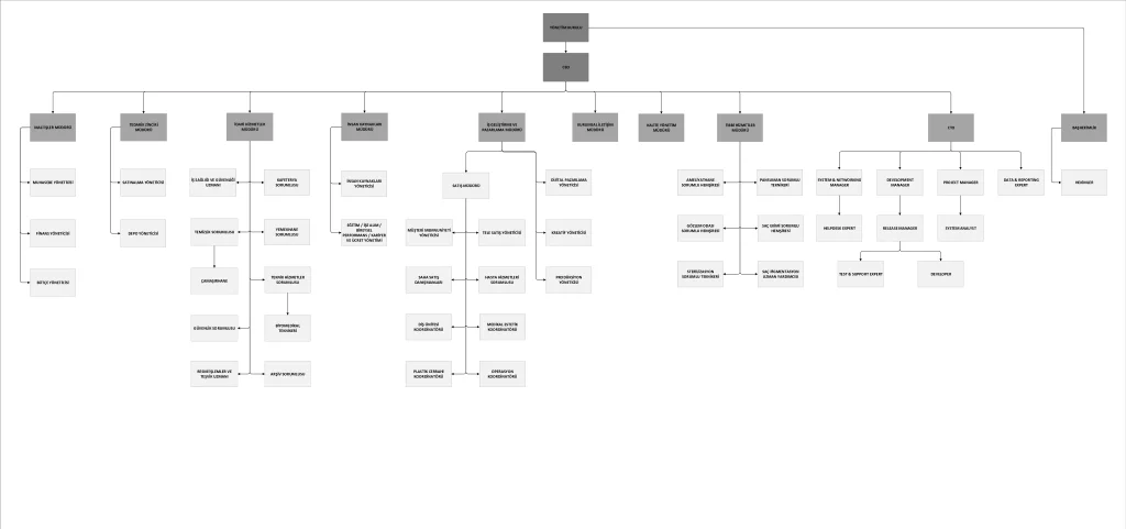 Organizational Structure
